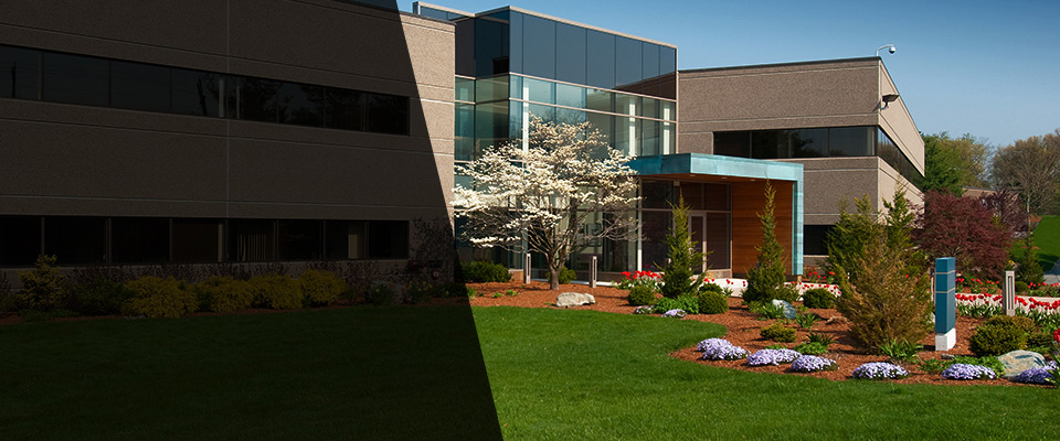 Mercedes Landscapers