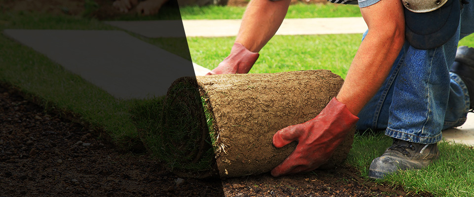 Mercedes Landscapers